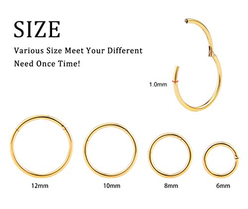 4Pcs 16G 18G 20G Surgical-Steel-Piercing-Ring-Nose-Rings-Hinged-Hoop-Earrings,6mm 8mm 10mm 12mm Seamless Stainless Steel Clicker Eyebrow Septum Piercing Hoop,Sliver Black Gold Rose Gold Rainbow Body Jewelry Set - color: 18G Gold