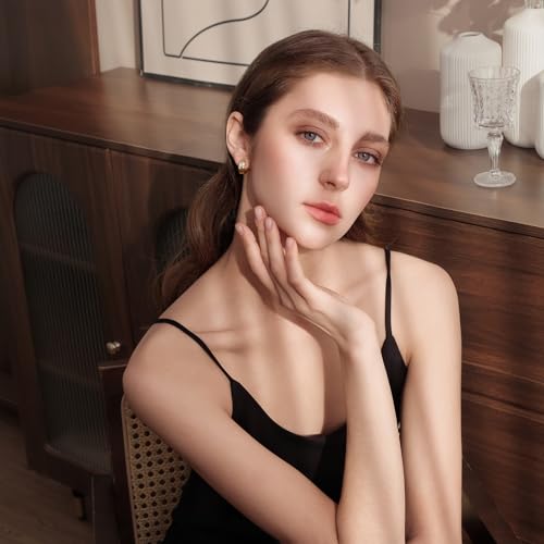 Small Chunky Huggie Hoop Earrings for Women - 18K Gold Plated Boho Ethnic, Hypoallergenic Dainty Vintage Gifts for Women - color: fish scale