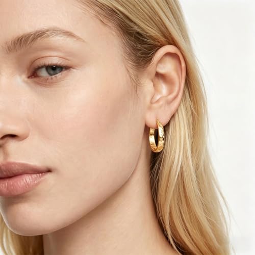 NARMO 925 Sterling Silver Hoop Earrings for Women Hypoallergenic Lightweight Simple Huggie Hoop Earrings Twisted Hoop Earrings Colorful Cubic Zirconia Hoop Earrings Rainbow Hoop Earrings - color: Pet Claws(Gold)