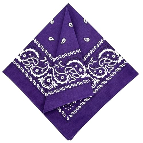 MDSTYLE 6 Pack 100% Cotton Bandanas 22” x 22" for Men & Women Paisley Handkerchief Headband Scarf Bandana - color: Pink X2, Lavender X2, Purple X2
