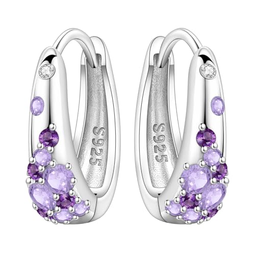 Earrings for Women 925 Sterling Silver Hoop Earring Colorful Cute Fashion Hoop Earrings Graduation Birthday Jewelry Gifts for Women - color: Purple Rhinestone Earrings