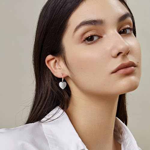 14K Gold Dangle Earrings for Women，Lightweight Circle Disc Coin Geometric Flat Brushed Drop Earrings, Hypoallergenic Leverback Earrings Jewelry - color: D-Silver