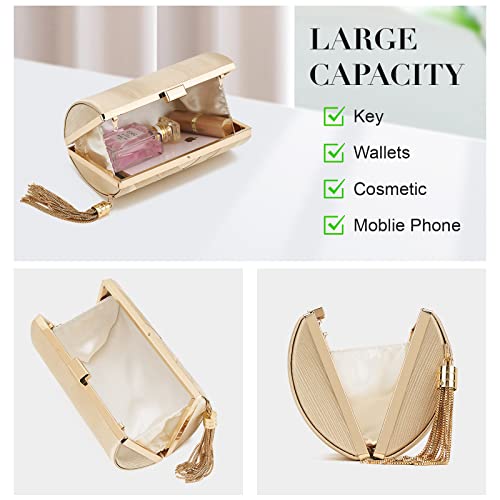 Women Clutch Bag Evening bag Fringed Evening Handbag,Lady Party Wedding Clutch Purse Chain Shoulder Cross Body Bag - color: Champagne