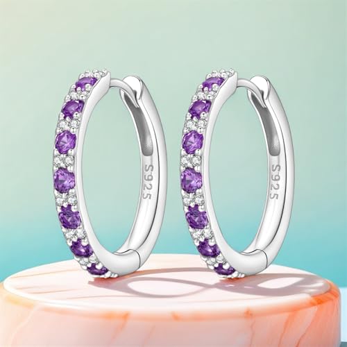 Earrings for Women 925 Sterling Silver Hoop Earring Colorful Cute Fashion Hoop Earrings Graduation Birthday Jewelry Gifts for Women - color: Purple Interspersed Stone Earrings