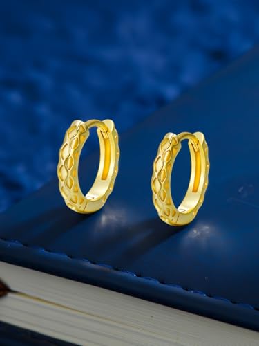 14K Gold Hoop Earrings for Women Hypoallergenic Lightweight Gold Huggie Hoop Earring Jewelry Gift - style: C-15mm