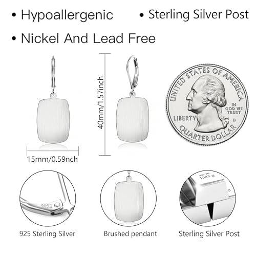 14K Gold Dangle Earrings for Women，Lightweight Circle Disc Coin Geometric Flat Brushed Drop Earrings, Hypoallergenic Leverback Earrings Jewelry - color: B-Silver
