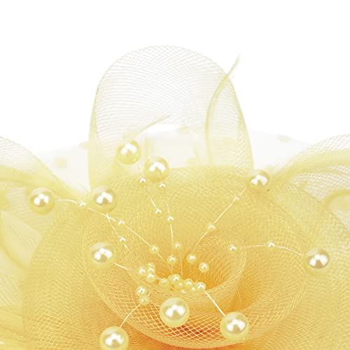 DRESHOW Fascinators Hat Flower Mesh Ribbons Feathers on a Headband and a Clip Tea Party Headwear for Girls and Women - color: 7" Diameter / Ginger