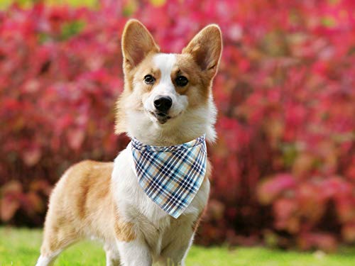 Lionet Paws Dog Bandana Washable Cotton Handkerchief Scarf Triangle Bandana for Small Medium Large Dogs - color: LightBlue, size: Small (Pack of 1)