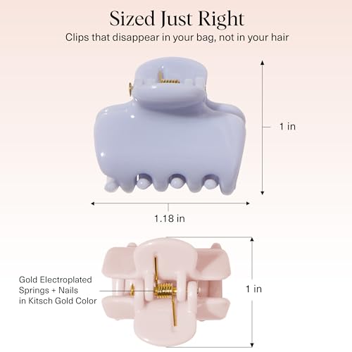 Kitsch Small Hair Clips for Women and Girls – Mini Claw Clips – Hair Accessories – Daily Styling, Recycled, Garden Bouquet | Ideal Gifts for Women – 8pc Set - color: Garden Bouquet