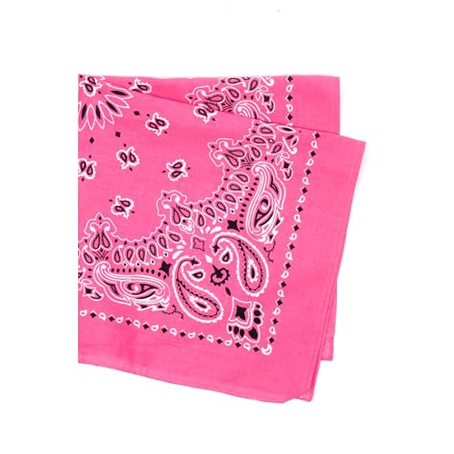 Rothco Trainmen Paisley Bandana - Standard - 22" X 22" - color: Pink