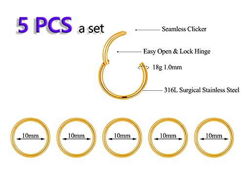 5Pcs 16G 18G Surgical Steel Nose Rings Hoop Tragus Septum Cartilage Hoop Earrings For Women Men Body Piercing Jewelry Kit Bar Length 6mm/8mm/10mm/12mm/14mm - style: 5Pcs -18G - Gold - 10mm