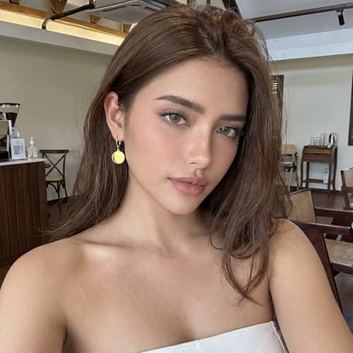 Disc Dangle Earrings for Women, 14K Gold Plated Flat Hypoallergenic Drop Earrings, Silver Classic Coin Leverback Earrings for Women Jewelry Gifts - color: A-14K Gold