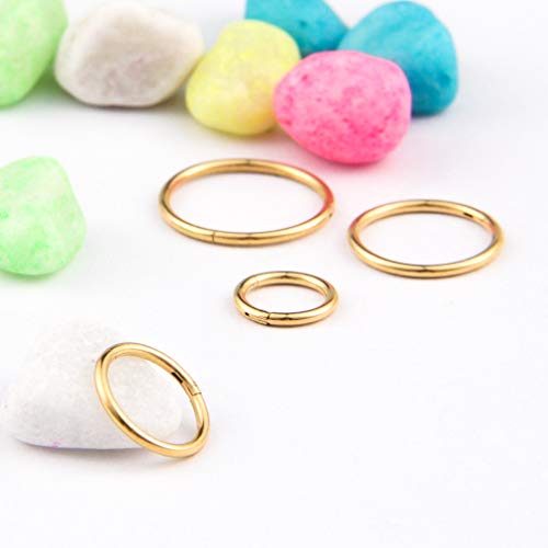 4Pcs 16G 18G 20G Surgical-Steel-Piercing-Ring-Nose-Rings-Hinged-Hoop-Earrings,6mm 8mm 10mm 12mm Seamless Stainless Steel Clicker Eyebrow Septum Piercing Hoop,Sliver Black Gold Rose Gold Rainbow Body Jewelry Set - color: 18G Gold
