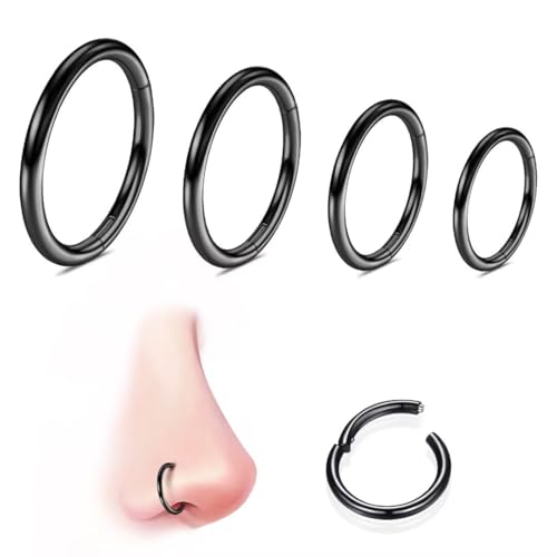 WBRWP 316L Stainless-Steel Piercing-Ring Hinged Nose-Rings-Hoop : 20G 18G 16G 14G Womens Body Pierecing Ring Segment Clicker Lip Rings Helix Cartilage Rook Earrings Diameter 6mm 8mm 10mm 12mm - color: 4pc set in black color(each dia. 1 pc)