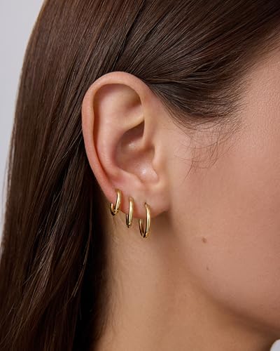 PAVOI Waterproof Hoop Earrings Set for Women - Stainless Steel Multi-Pack with Cubic Zirconia - Small & Chunky Huggie, Thin Hoops, Cascade Graduated Styles - Trendy Fashion Piercing Jewelry - color: White Gold