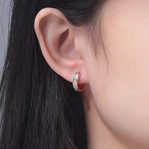 CiNily Huggie Earrings Opal Hinged Hoop Earrings Gold Plated Hypoallergenic Small Hoop Earrings for Women Teen Girls Men Sensitive Ears - color: Rianbow White