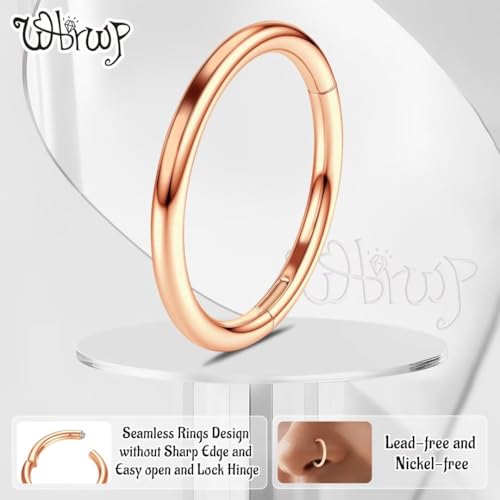 WBRWP 316L Stainless-Steel Piercing-Ring Hinged Nose-Rings-Hoop : 20G 18G 16G 14G Womens Body Pierecing Ring Segment Clicker Lip Rings Helix Cartilage Rook Earrings Diameter 6mm 8mm 10mm 12mm - color: 8pc set in rose gold color(each dia. 2 pc)