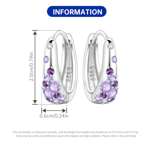 Earrings for Women 925 Sterling Silver Hoop Earring Colorful Cute Fashion Hoop Earrings Graduation Birthday Jewelry Gifts for Women - color: Purple Rhinestone Earrings