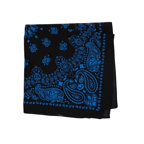 Rothco Trainmen Paisley Bandana - Standard - 22" X 22" - color: Black/Blue