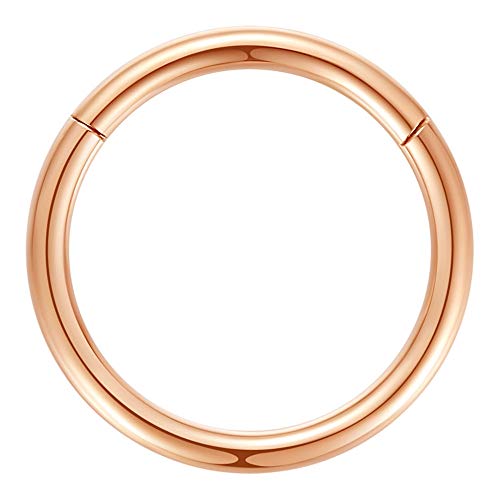 ORANGELOVE Hypoallergenic Nose Rings 20G 18G 16G 14G 12G 10G 8G 316l Surgical Steel Septum Jewelry Hinged Segment Ring Body Piercing Nose Hoop Lip Rings Nose Helix Cartilage Rook Earrings - color: Rose Gold, size: 1pc 8 Gauge 10mm