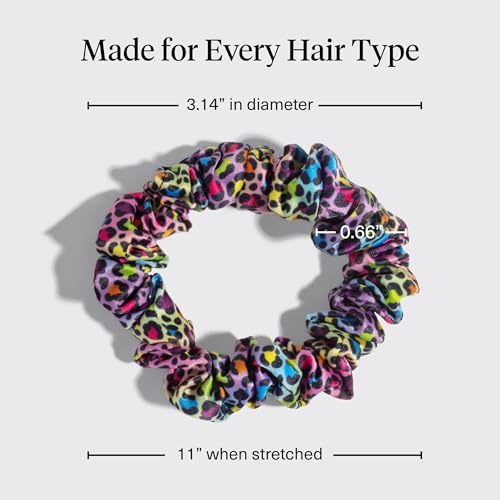 Lisa Frank x Kitsch Ruched Satin Scrunchies for Women - Softer Than Silk Scrunchies | Hair Ties No Damage for Frizz-Free Sleep | Ideal Gifts for Women - Rainbow Leopard 4 pcs - color: Rainbow Leopard