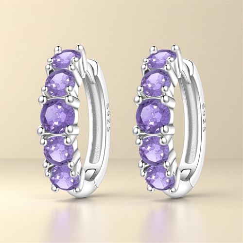 Earrings for Women 925 Sterling Silver Hoop Earring Colorful Cute Fashion Hoop Earrings Graduation Birthday Jewelry Gifts for Women - color: Rhinestone Earrings - Light Purple