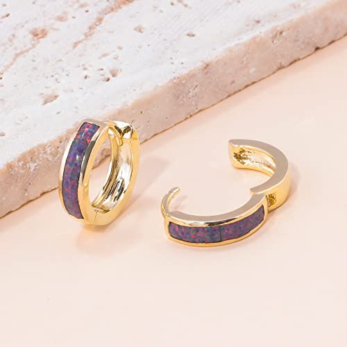 CiNily Huggie Earrings Opal Hinged Hoop Earrings Gold Plated Hypoallergenic Small Hoop Earrings for Women Teen Girls Men Sensitive Ears - color: Rainbow Black