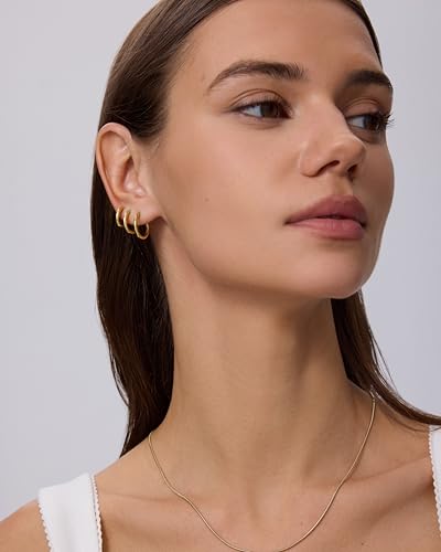 PAVOI Waterproof Hoop Earrings Set for Women - Stainless Steel Multi-Pack with Cubic Zirconia - Small & Chunky Huggie, Thin Hoops, Cascade Graduated Styles - Trendy Fashion Piercing Jewelry - color: White Gold