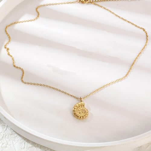LLWOM Gold Necklace for Women-14k Gold Plated Infinity Necklace Star Of David Necklace Evil Eye Cross Pendants Heart Dainty Gold Necklace For Women - color: Gold, style: Conch Necklace