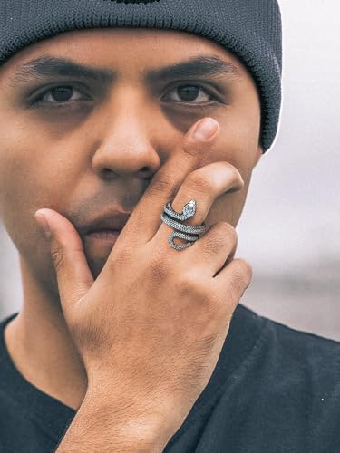 Stainless Steel/18K Gold Plated/Black Snake Ring for Men Women Size 7-12 Serpent Reptile Rings Punk Gothic Jewelry(with Gift Box) - color: 04-Steel-Personalized