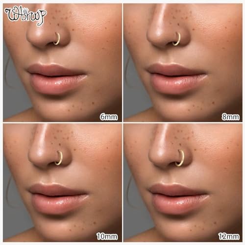 WBRWP 316L Stainless-Steel Piercing-Ring Hinged Nose-Rings-Hoop : 20G 18G 16G 14G Womens Body Pierecing Ring Segment Clicker Lip Rings Helix Cartilage Rook Earrings Diameter 6mm 8mm 10mm 12mm - color: 8pc set in gold color(each dia. 2 pc)