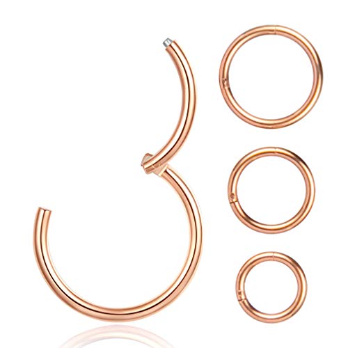 4Pcs 16G 18G 20G Surgical-Steel-Piercing-Ring-Nose-Rings-Hinged-Hoop-Earrings,6mm 8mm 10mm 12mm Seamless Stainless Steel Clicker Eyebrow Septum Piercing Hoop,Sliver Black Gold Rose Gold Rainbow Body Jewelry Set - color: 16G Rose Gold