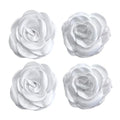 Sanrich Women's Brooches 4pcs Rose Flower Hair Clip Mexican Hair Flowers Clips Hairpin Brooch Tea Party Hats Headpieces (white) - color: white