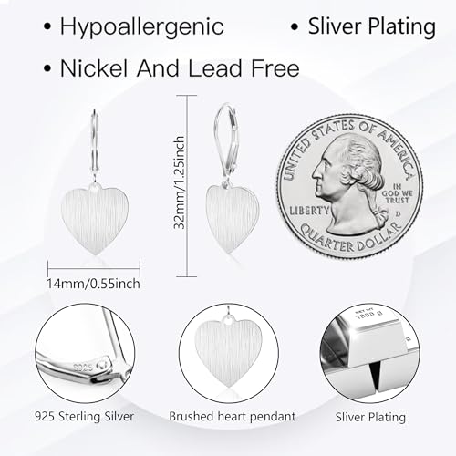 14K Gold Dangle Earrings for Women，Lightweight Circle Disc Coin Geometric Flat Brushed Drop Earrings, Hypoallergenic Leverback Earrings Jewelry - color: D-Silver