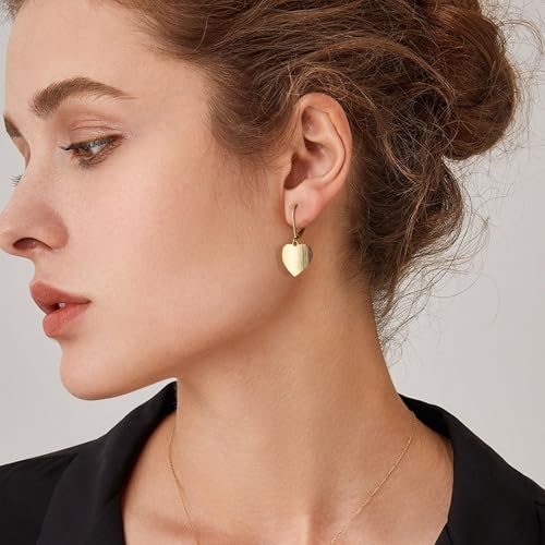 14K Gold Dangle Earrings for Women，Lightweight Circle Disc Coin Geometric Flat Brushed Drop Earrings, Hypoallergenic Leverback Earrings Jewelry - color: D-14K Gold