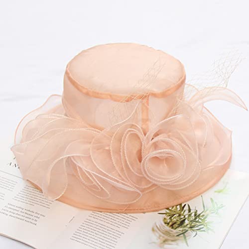 Women's Kentucky Derby Church Dress Hat Wide Brim Leaf Flower Bridal Shower Hat - color: A2-light Pink