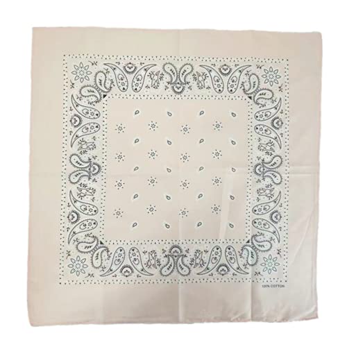 Vamqor 12pcs Bandana for women and men 100% Cotton Custom Fashion Paisley Design Multifunctional Outdoor Square Handkerchief - color: Pink