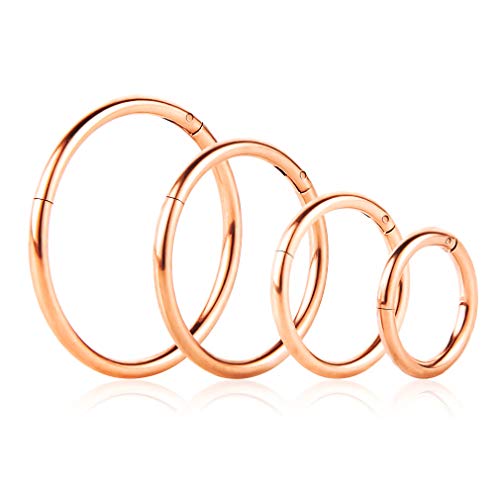 4Pcs 16G 18G 20G Surgical-Steel-Piercing-Ring-Nose-Rings-Hinged-Hoop-Earrings,6mm 8mm 10mm 12mm Seamless Stainless Steel Clicker Eyebrow Septum Piercing Hoop,Sliver Black Gold Rose Gold Rainbow Body Jewelry Set - color: 18G Rose Gold
