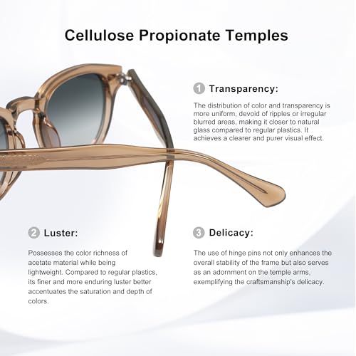 SOJOS Retro Small Round Sunglasses for Men Women Trendy Circle Style UV400 Lenses Unisex Sun Glasses SJ2251 - color: Brown/Bluish-grey