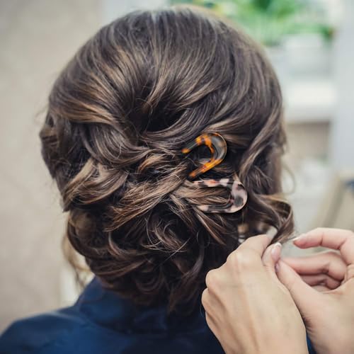 French Hair Pins Tortoise Shell French Hair Forks U Shaped French Pins 2 Prong Hair Sticks Acetate Chignon Pin for Women Hairstyle Accessories 2 Pack - color: Tortoise Shell +Black