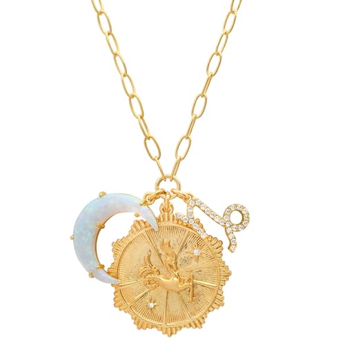 Dainty Gold Zodiac Embossed Coin Opal Crescent Moon Charm Necklace for Women Trendy 18K Gold Plated Retro Paperclip Chain 12 Constellation Horoscope Necklaces Astrology Jewelry Gifts - style: 10.CAPRICORN (DEC 22-JAN 19)
