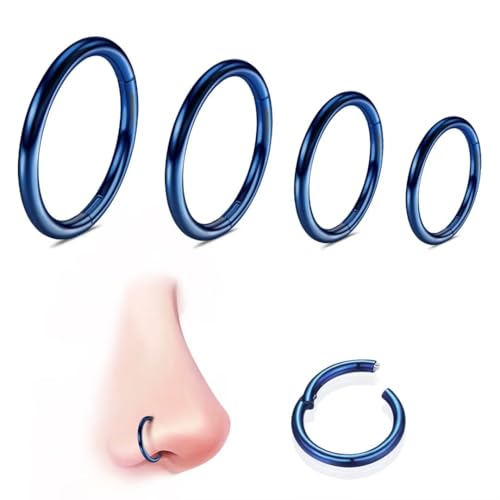 WBRWP 316L Stainless-Steel Piercing-Ring Hinged Nose-Rings-Hoop : 20G 18G 16G 14G Womens Body Pierecing Ring Segment Clicker Lip Rings Helix Cartilage Rook Earrings Diameter 6mm 8mm 10mm 12mm - color: 4pc set in blue color(each dia. 1 pc)