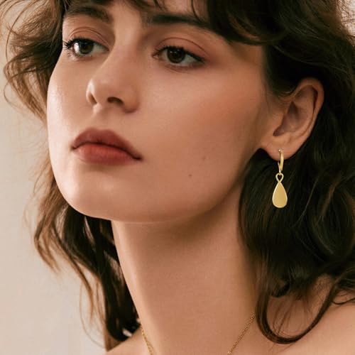 Dangle Earrings For Women, Silver Plated Lightweight Drop Earrings With Sparkling Cubic Zirconia,14K Gold Plated Hypoallergenic Face Shaping Earrings For Wedding Party Daily Office Jewelry Gift - color: Gold-B