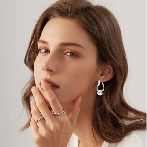 Parmuz 925 Sterling Silver Earrings Hoops for Women Ladies Simple Lightweight Twisted Medium Hoop Earrings With Cubic Zirconia Hypoallergenic Jewelry for Her - color: Colorful double heart earring