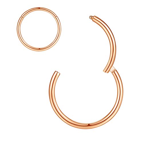 ORANGELOVE Hypoallergenic Nose Rings 20G 18G 16G 14G 12G 10G 8G 316l Surgical Steel Septum Jewelry Hinged Segment Ring Body Piercing Nose Hoop Lip Rings Nose Helix Cartilage Rook Earrings - color: Rose Gold, size: 1pc 16 Gauge 7mm