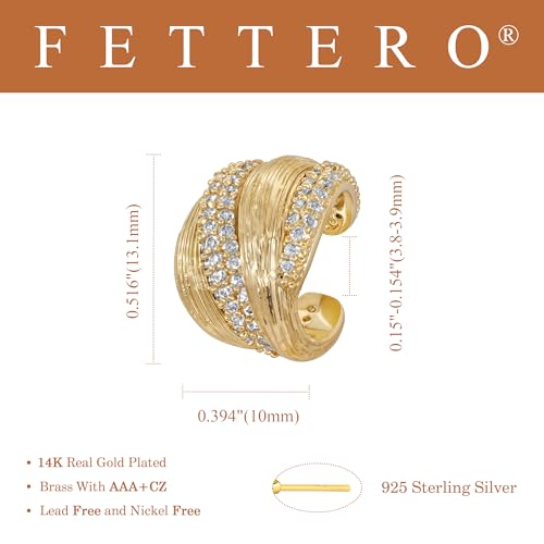FETTERO Ear Cuff Earrings for Women Non Piercing 14K Gold Plated Ear Cuffs for Non Pierced Ears Clip on Cartilage Earring Ligthweight Fake Earrings | Single - style: Gold Brushed