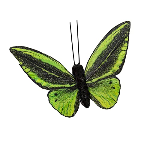 Berfutall- Feather Butterfly Decorations Set of 6 Vibrant Multi Colored Craft Butterflies on Clip .Party Spring Home Decor Floral Pics.St.Patrick'sDay - color: Green H