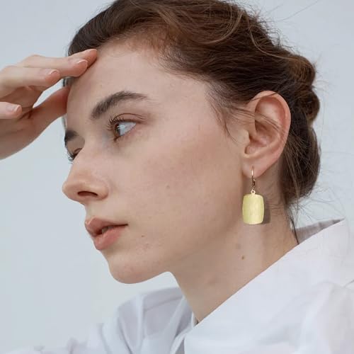 14K Gold Dangle Earrings for Women，Lightweight Circle Disc Coin Geometric Flat Brushed Drop Earrings, Hypoallergenic Leverback Earrings Jewelry - color: B-14K Gold