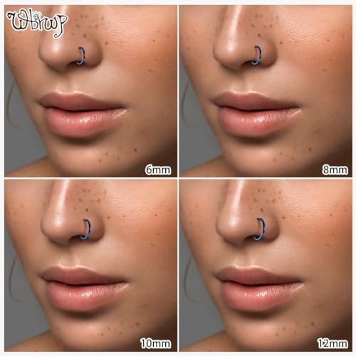 WBRWP 316L Stainless-Steel Piercing-Ring Hinged Nose-Rings-Hoop : 20G 18G 16G 14G Womens Body Pierecing Ring Segment Clicker Lip Rings Helix Cartilage Rook Earrings Diameter 6mm 8mm 10mm 12mm - color: 8pc set in blue color(each dia. 2 pc)