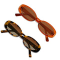 VANLINKER Polarized Retro Oval Sunglasses for Women and Men Small 90s Style VL9580 - color: C3c4 Brown Frame/Tortoise Frame